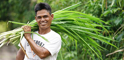 Veenland project Indonesië