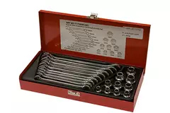 Set di chiavi a cricchetto ad anello inserito 21 pezzi